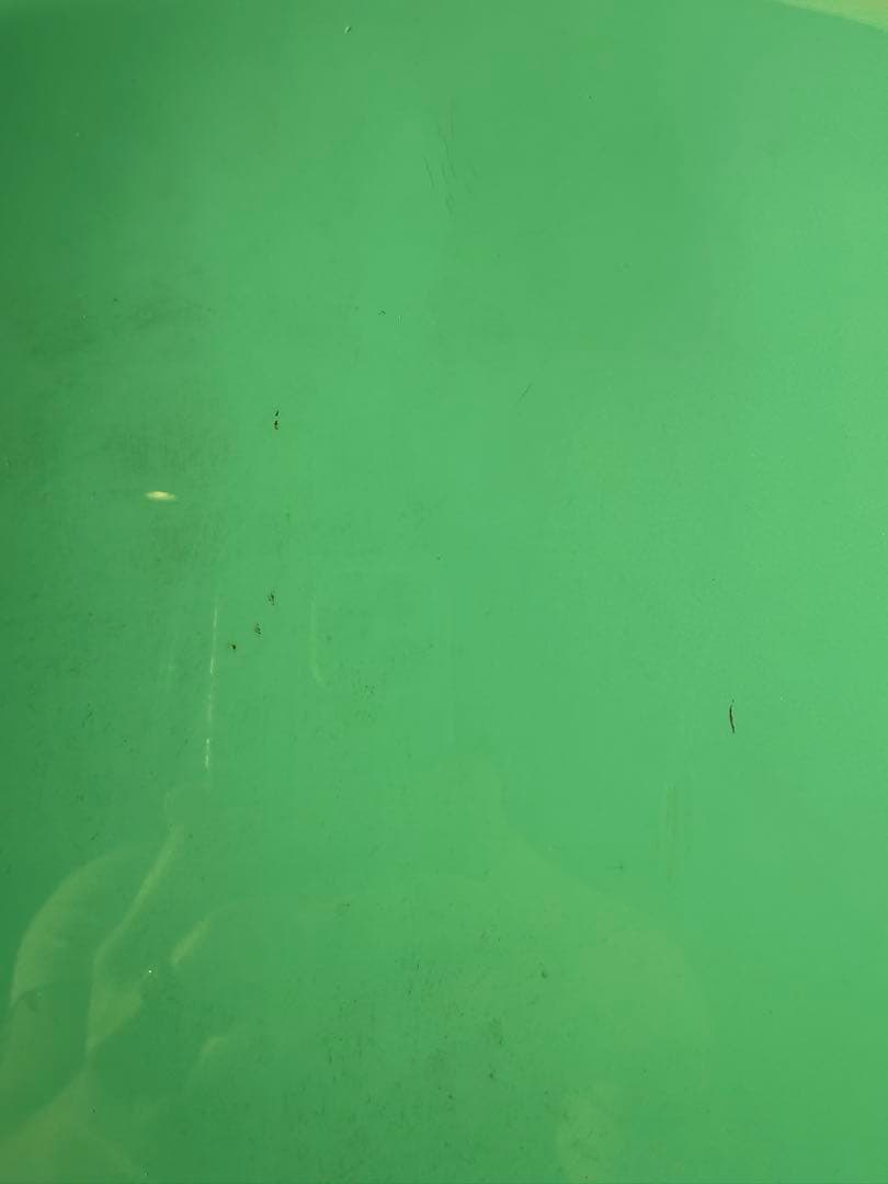 レア Karim Rashid バタフライチェア 水色