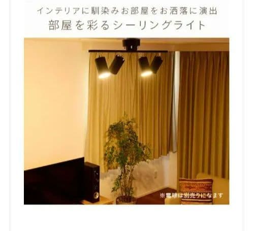 山善 ブラック シーリングライト SPL-A4R83(BK)