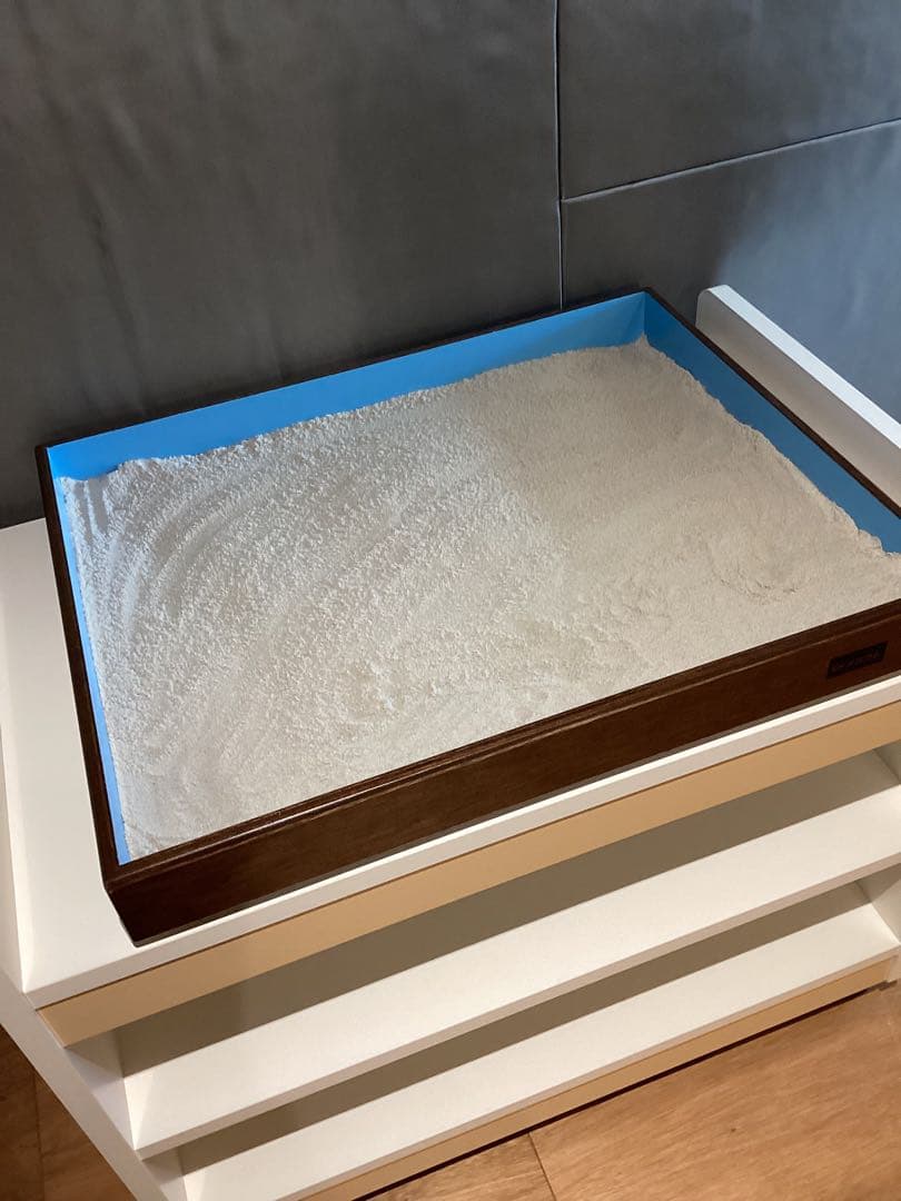 ☆値下げしました☆箱庭 心理療法　専門的　スパイファミリー　メンタルヘルス　希少