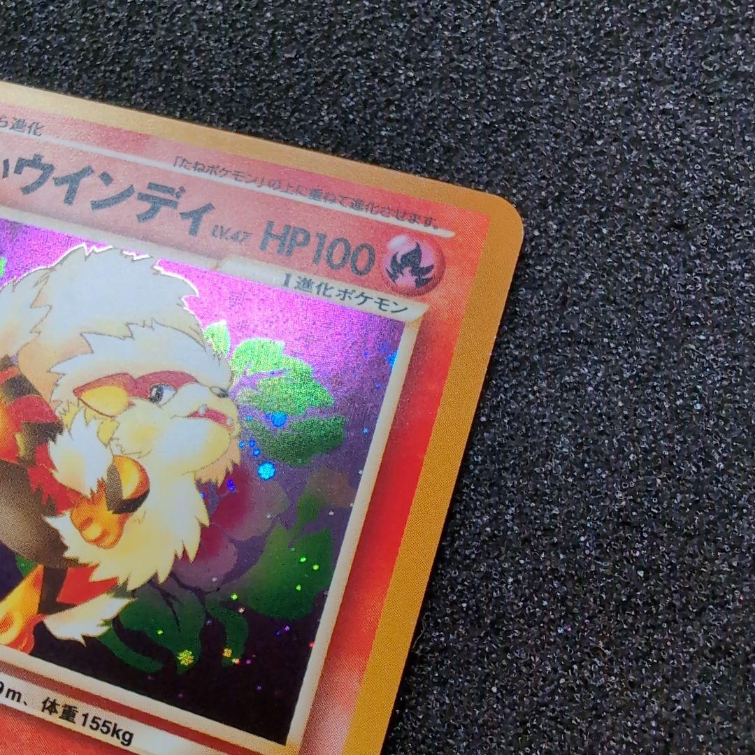 【極美品】やさしいウインディ ★ 拡張パック第4弾 闇、そして光へ…