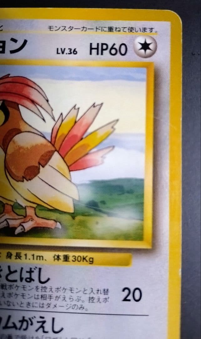 星エラー有】【初版】ポケモンカード 旧裏 No.017 ピジョン LV.36