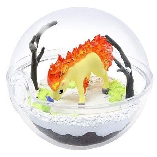 匿名配送】 ポケモン テラリウムコレクション まとめ売り - メルカリ