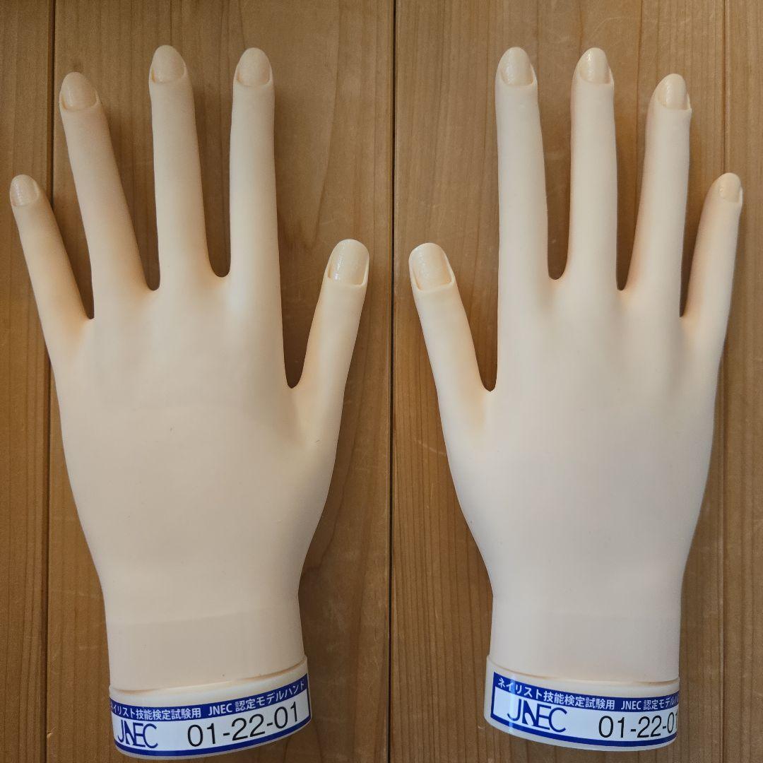 JNEC認定モデルハンド ネイリスト検定 ハンドくんネイル技術検定用 2個セット