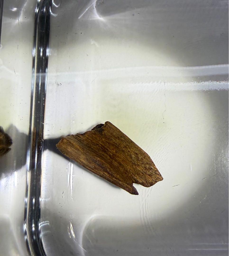 香木002沈香(伽羅)