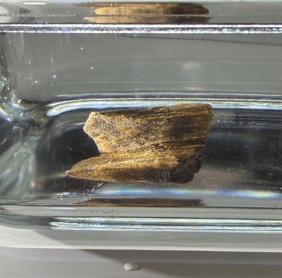 香木002沈香(伽羅)