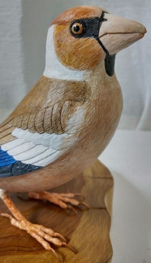 バードカービング　シメ