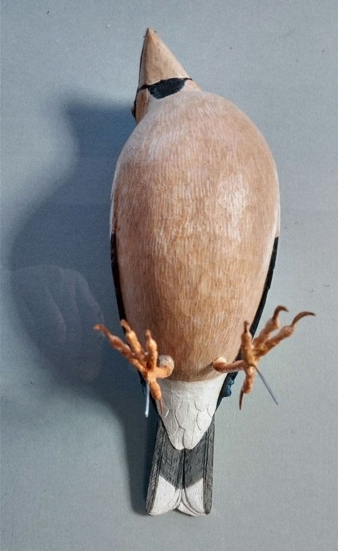 バードカービング　シメ