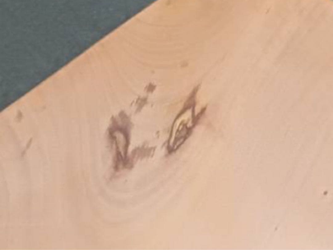 〔59〕薩摩琵琶用 撥・椿（27.2cm）