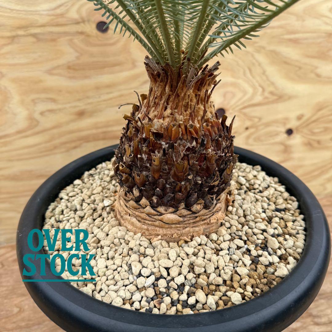 arichan50さん　専用