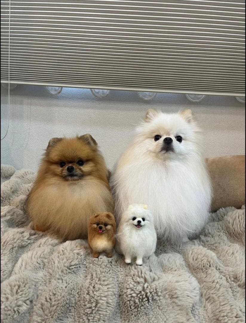 さいな　うちの子オーダー×2