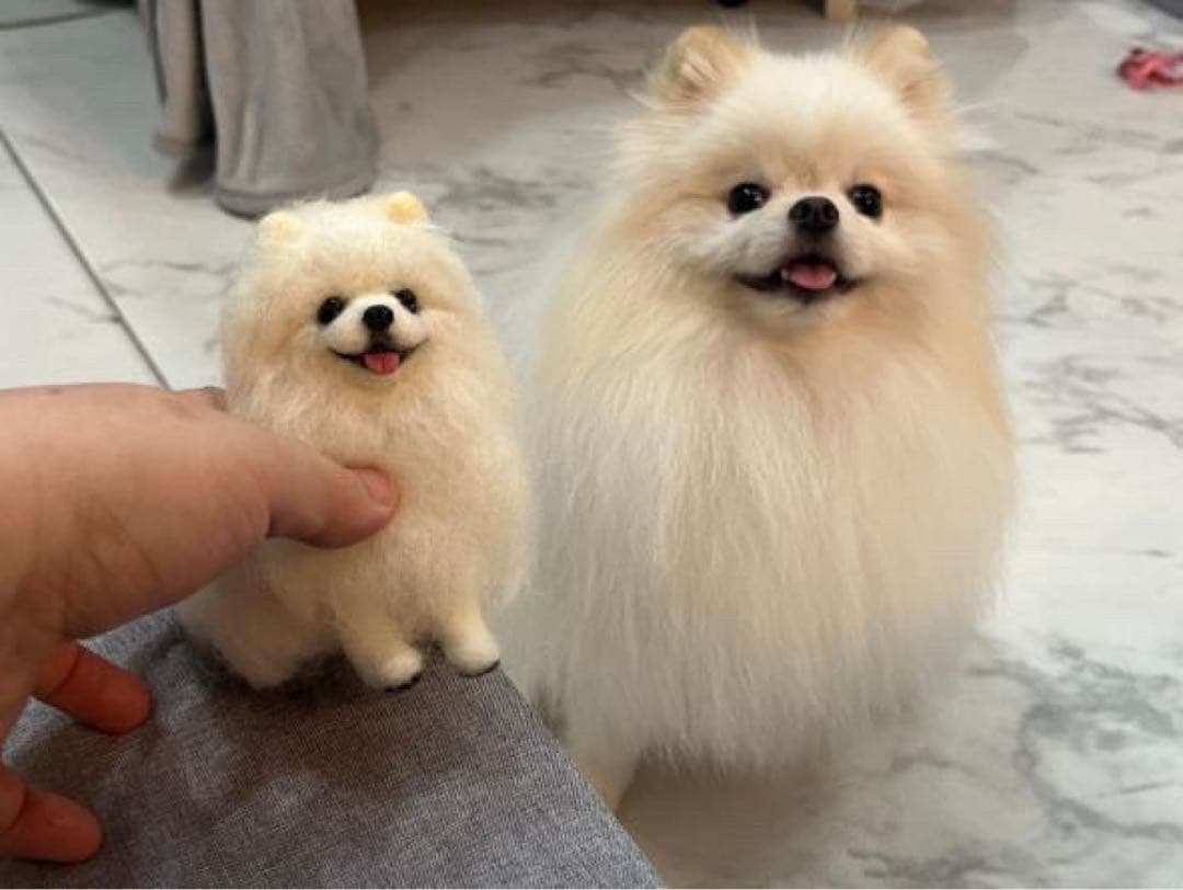 さいな　うちの子オーダー×2