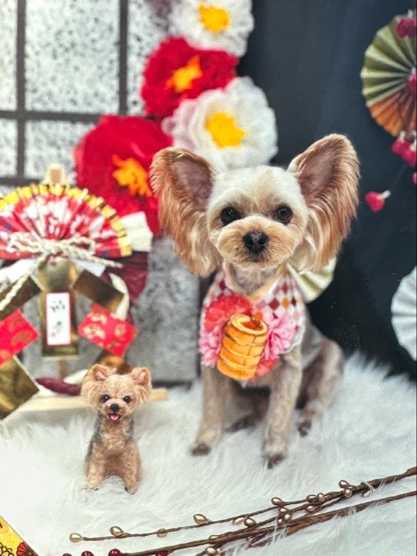 さいな　うちの子オーダー×2