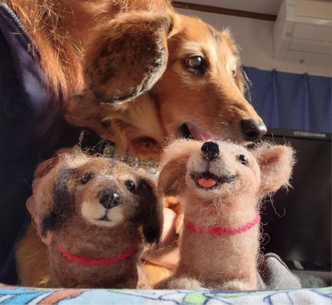 さいな　うちの子オーダー×2