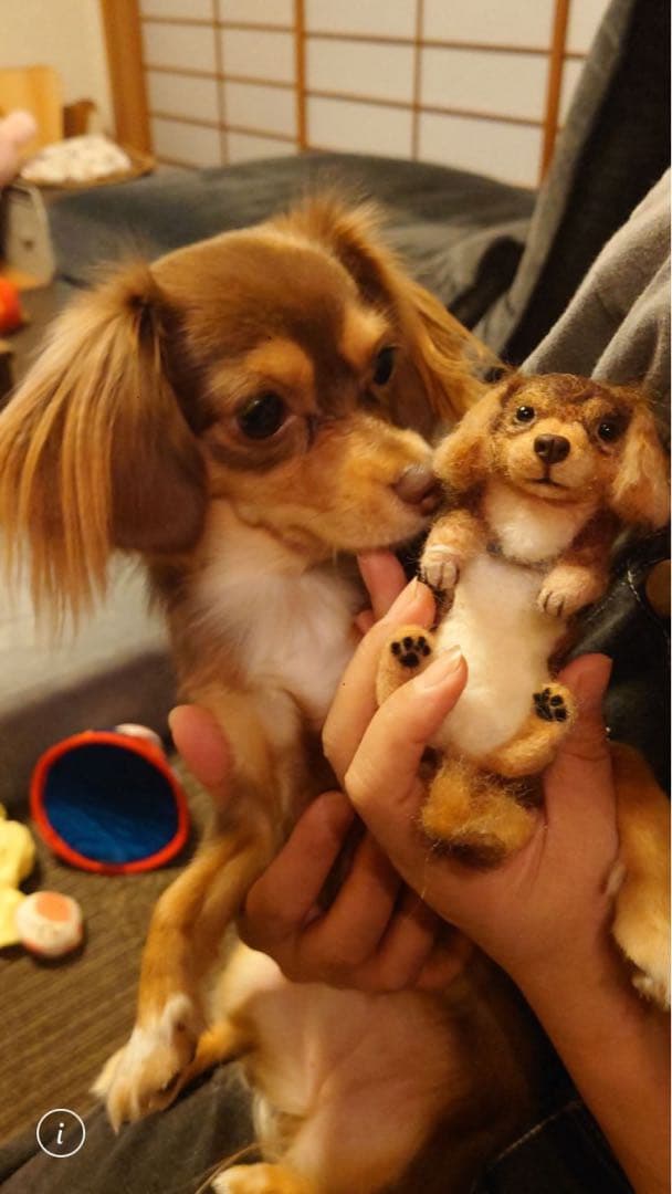 さいな　うちの子オーダー×2