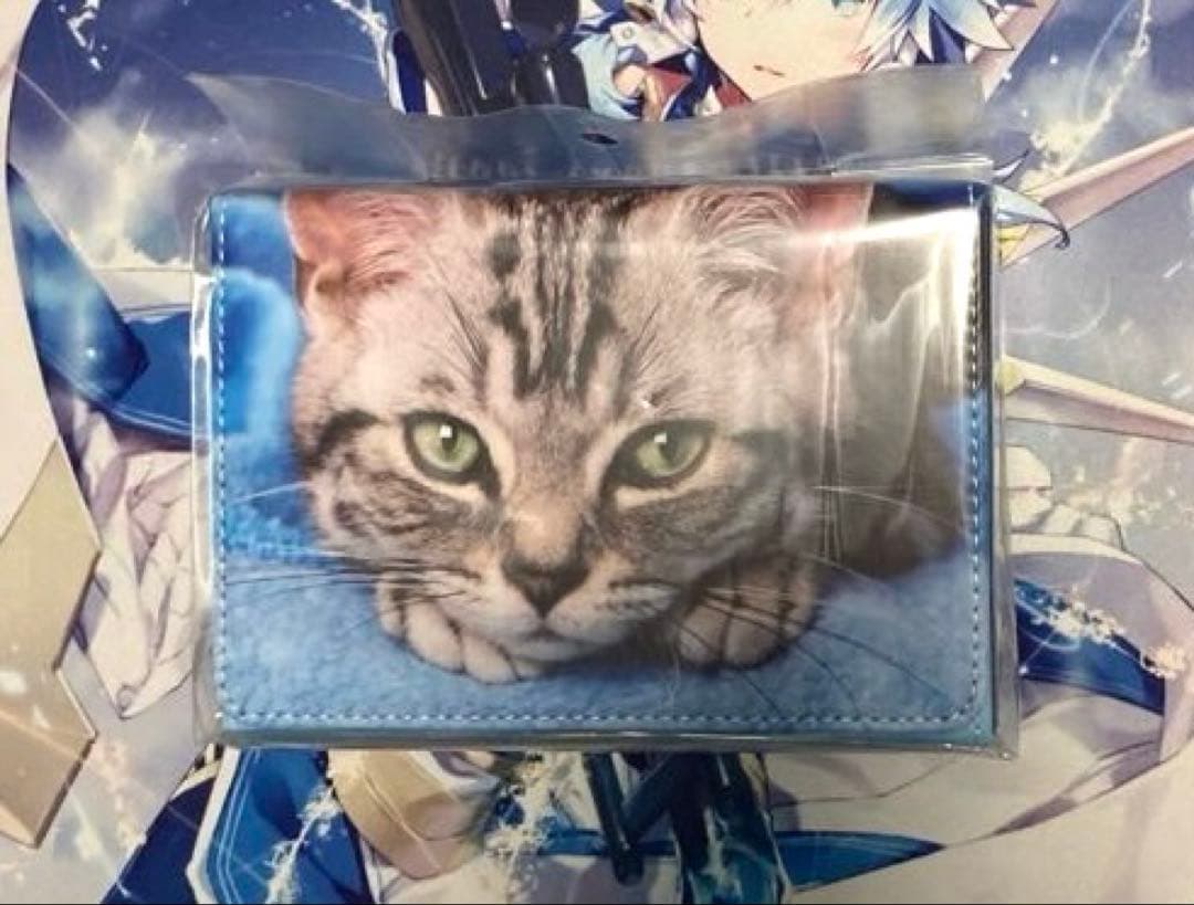 ブロッコリートレカアイテムくじEX 猫これくしょん A賞 合皮製デッキ