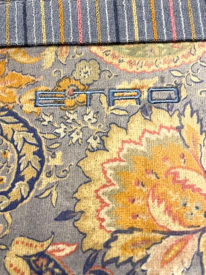 【にゆはさなやらるは】ETRO エトロ　タオルケット