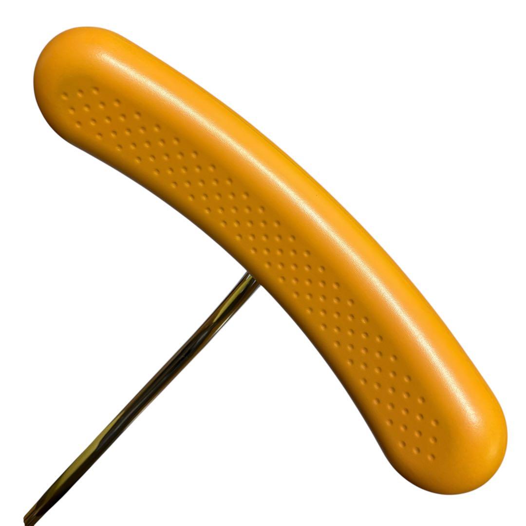 希少 説明書付き カッシーナイクスシー コラボ アーユルチェア