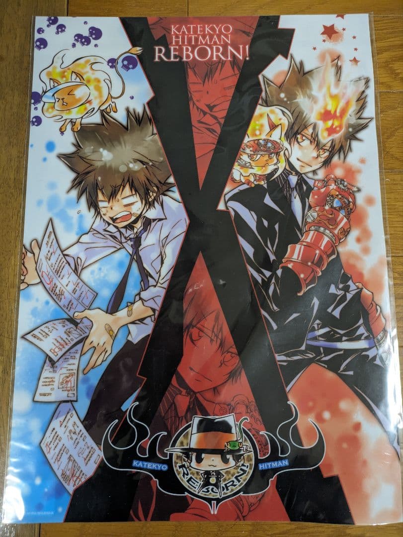 家庭教師ヒットマンREBORN! 沢田綱吉 ツナ クリアポスター 原作絵