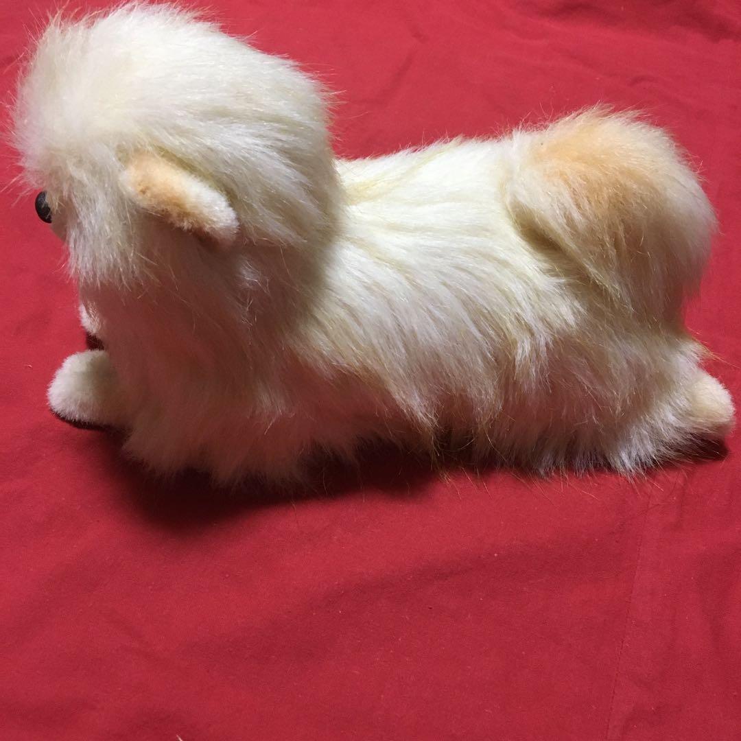 ぬいぐるみ 犬 ポメラニアン リアル 寝そべり 子犬 四季オリジナル