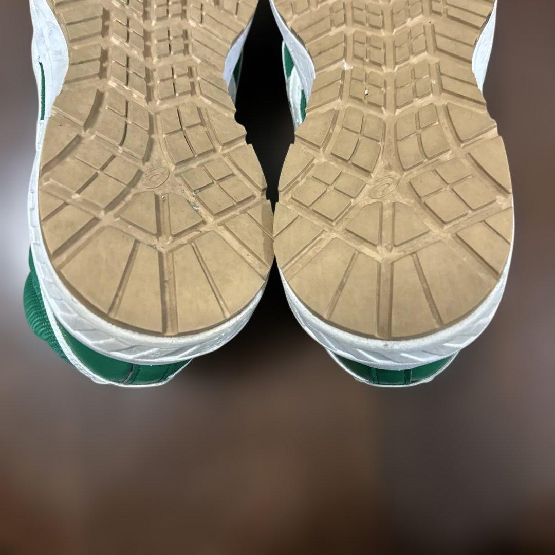 asics アシックス安全靴ウインジョブ　良品　26.5cm 限定レアカラー