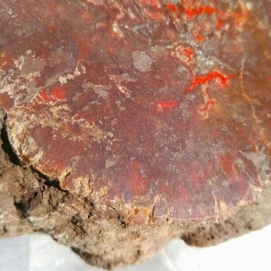 特大 本物 大型肉食恐竜の糞の化石 多彩 メノウ化 標本 1866グラム