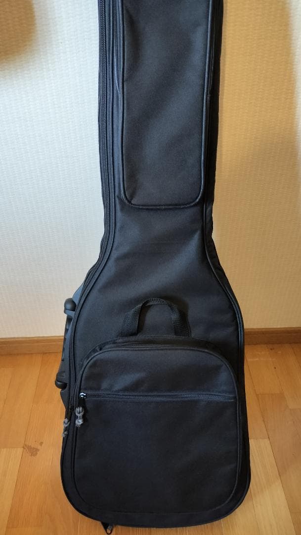 Bacchus】T-HOLLOW テレキャスター HandmadeSeries - メルカリ