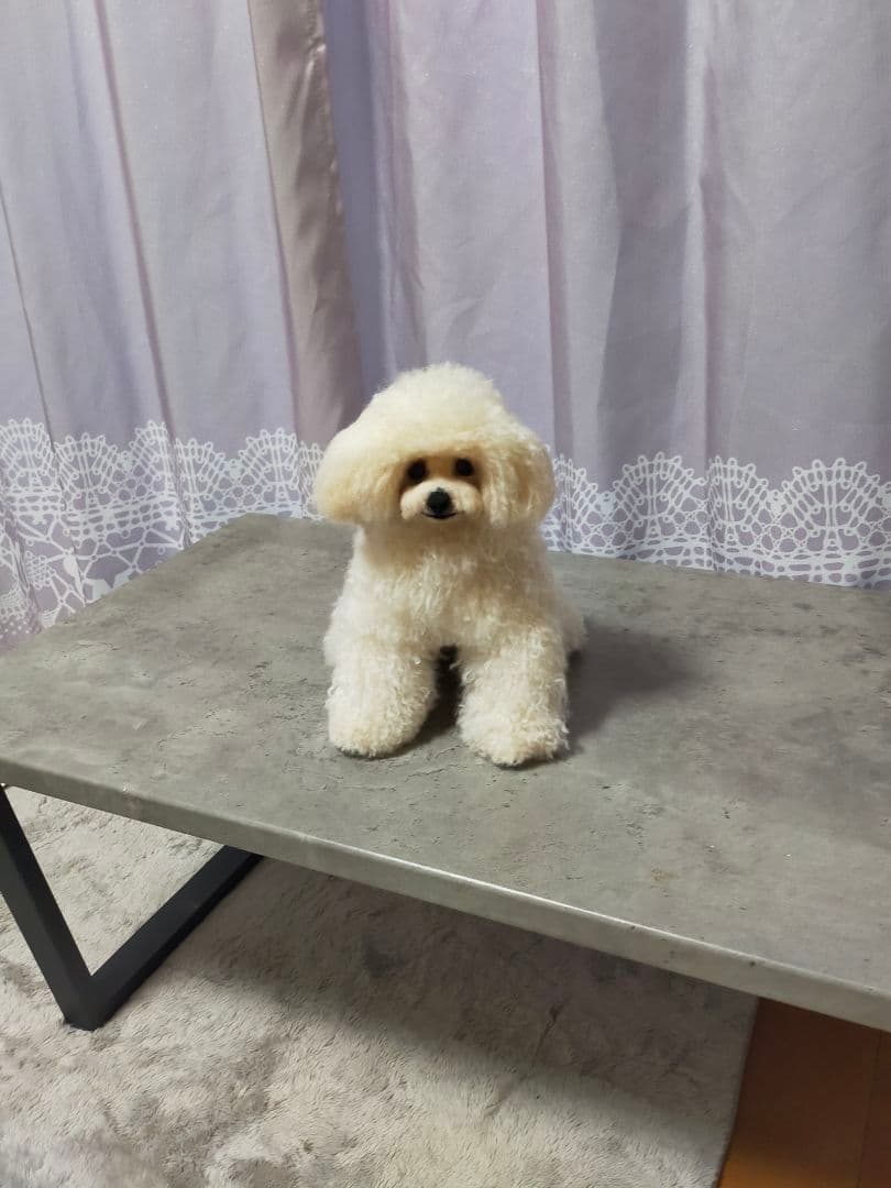 はなオーダーページ♡