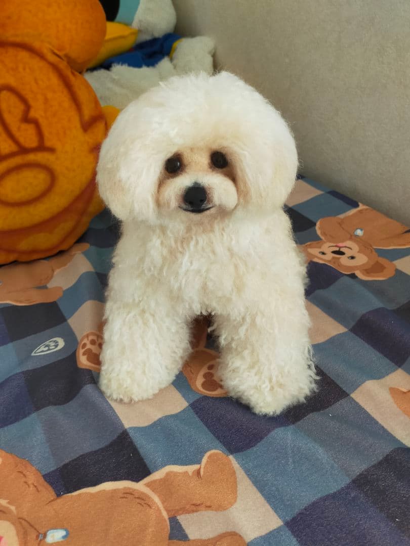 はなオーダーページ♡