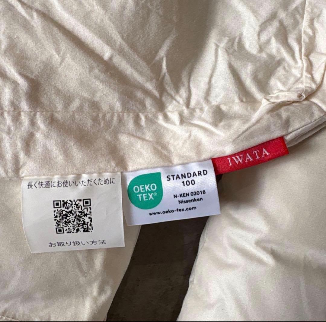 IWATA キャメル　枕　2.5cm ピロー