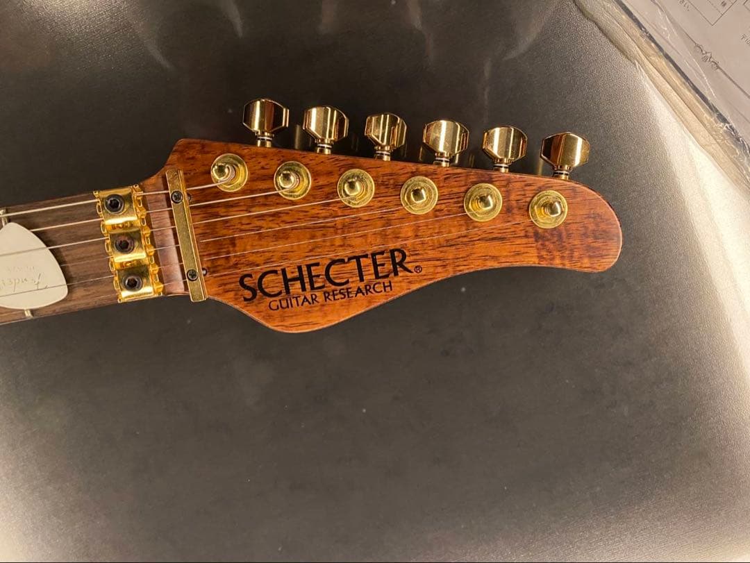 早い者勝ち】SCHECTER 限定ハワイアンコア SD-2-24 激レア極上品