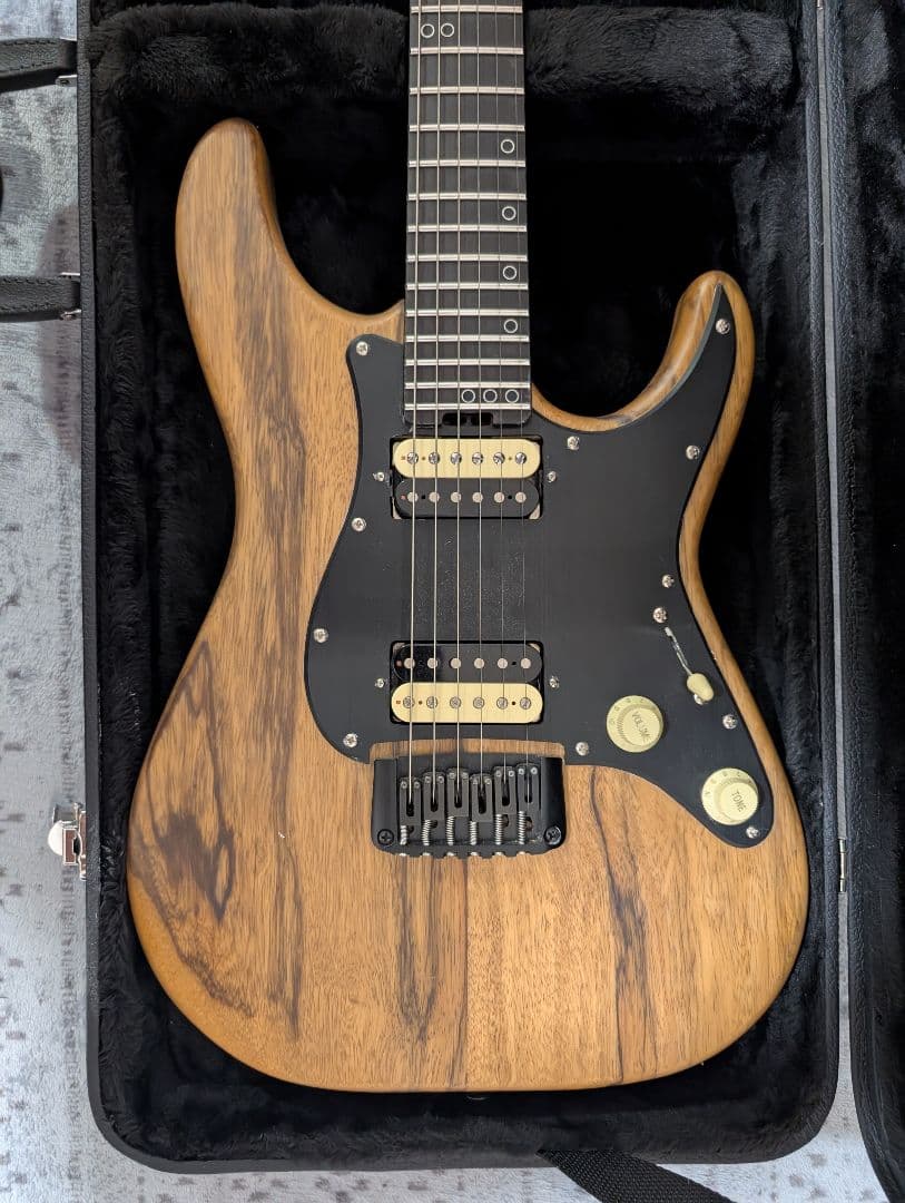 (最終値下げ)Schecter SVSS エレキギター•ハードケース付