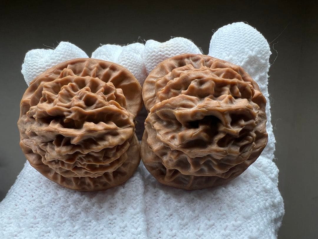 文玩堂：秦悶獅子頭（无修整）