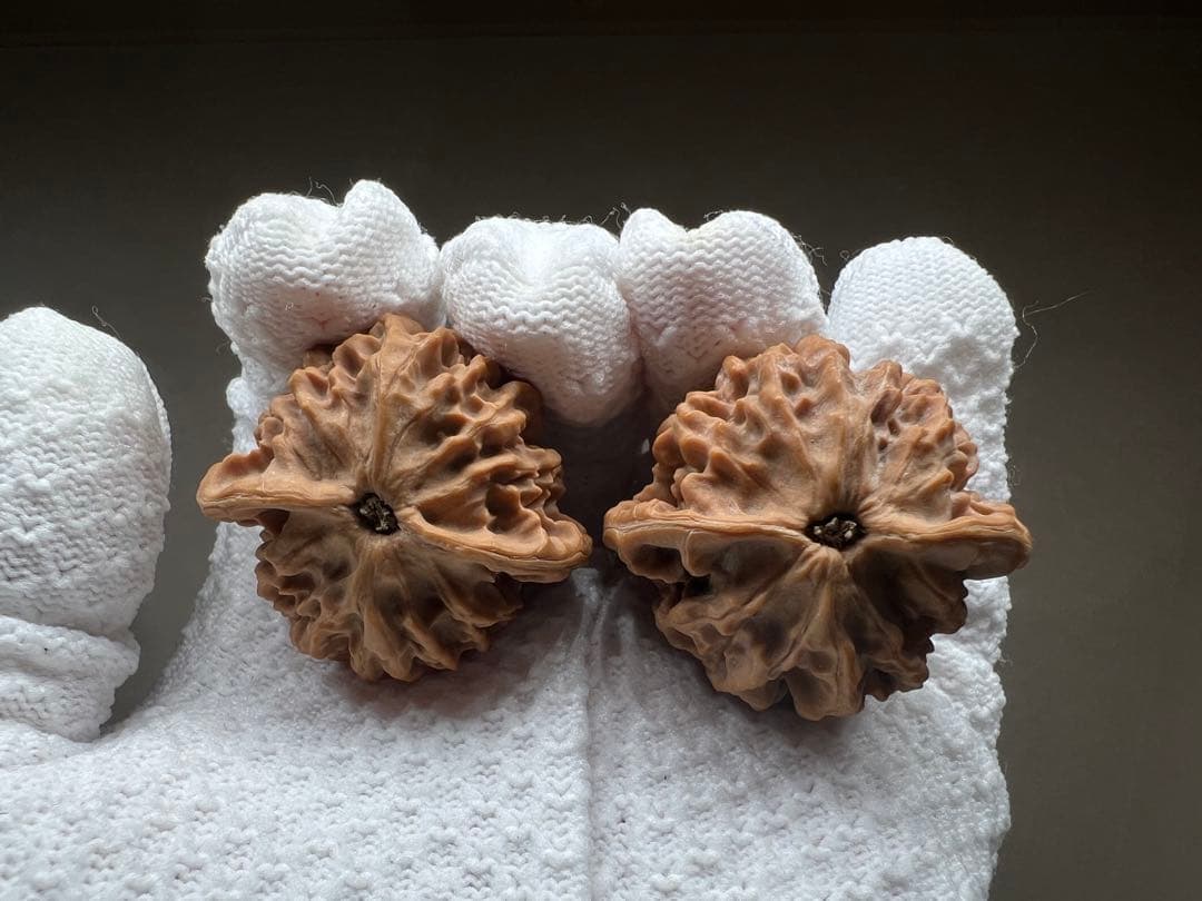 文玩堂：秦悶獅子頭（无修整）