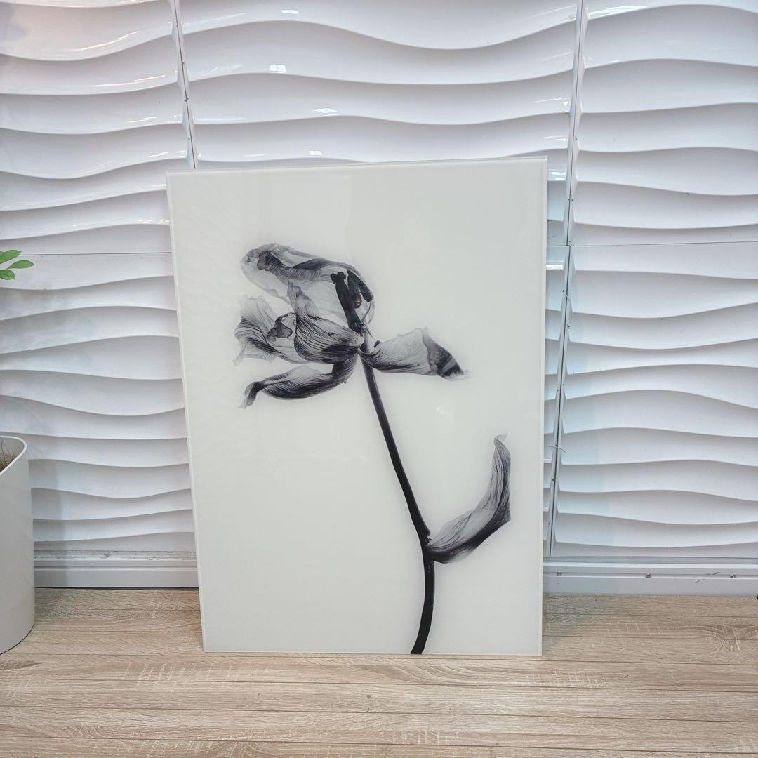 ◇大阪府全域 神戸市 配達料無料！◇Francfranc◇アクリルアート◇