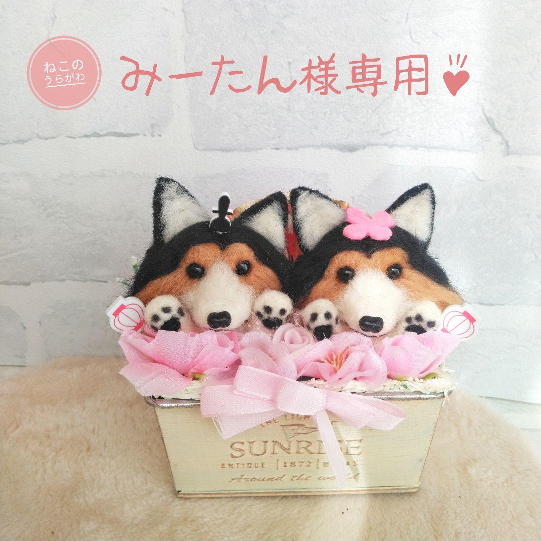 ♥️ひな祭り限定♥️シェルティーちゃんのひな祭りアレンジメント♪