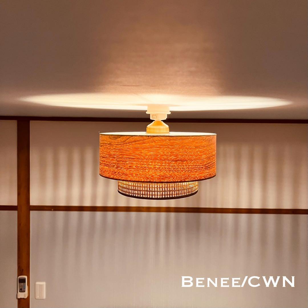 天井照明 シーリングライト Benee/CWN E26 LED 北欧 インテリア