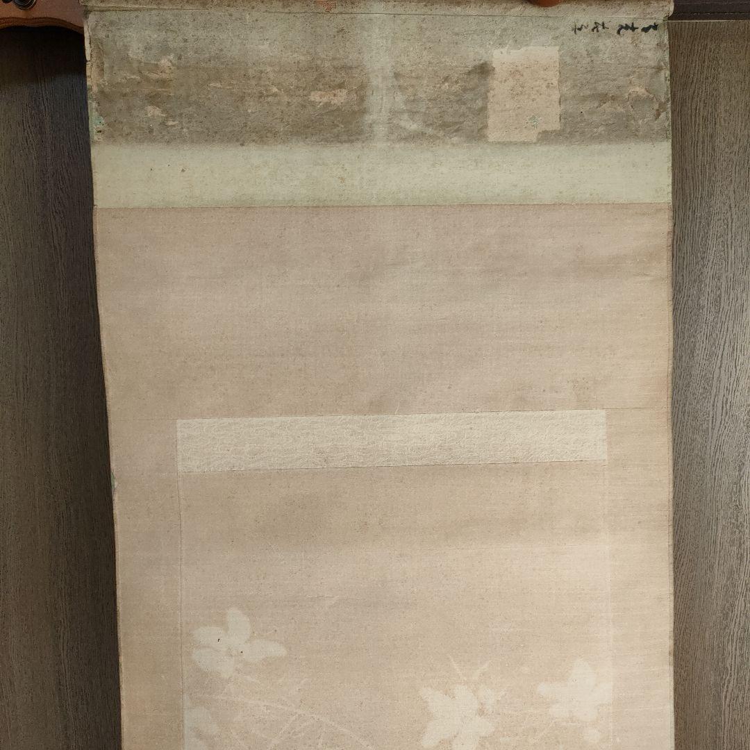 【１月特価】掛け軸　花　鳥　日本画　花鳥　絵の部分綺麗な状態です　印有り