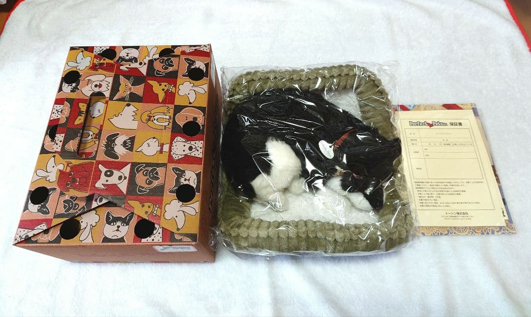 パーフェクトペット 黒柴