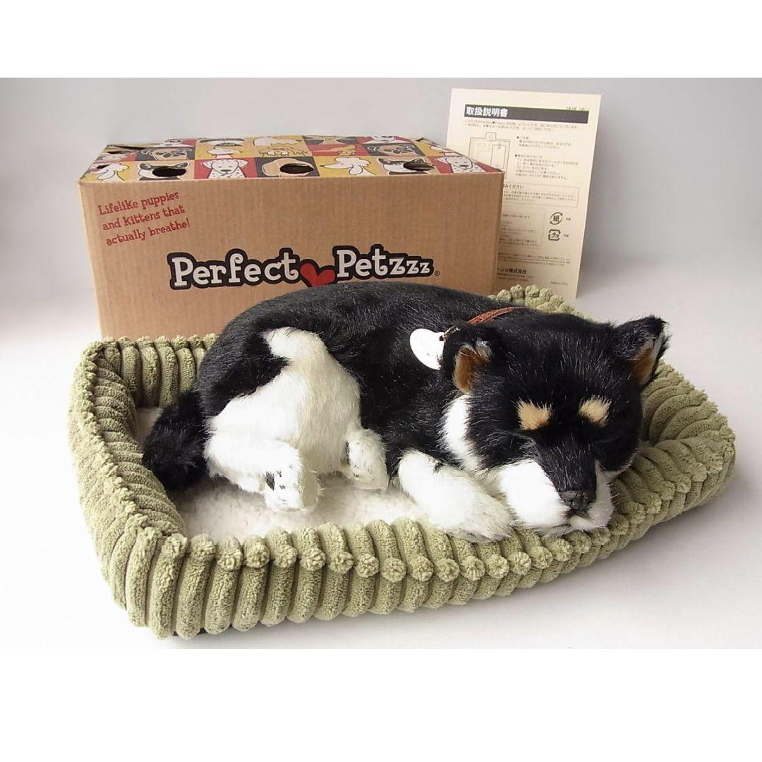 パーフェクトペット 黒柴