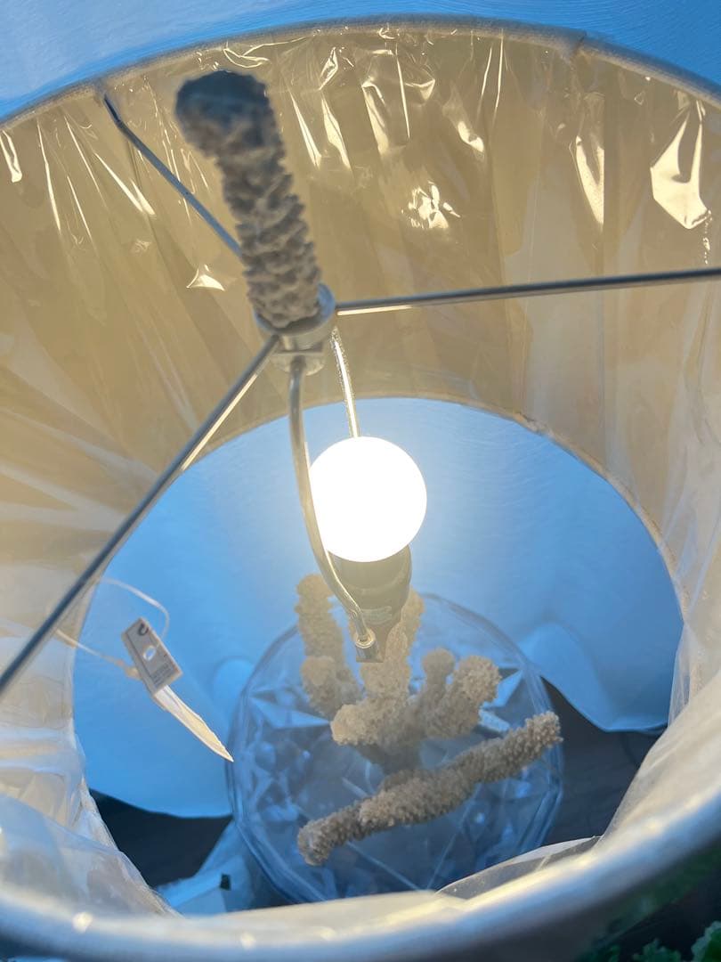 きらり様　インテリアランプ　ZARA 