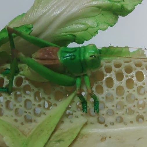 竹と白菜とバッタの彫刻　牛骨製　飛蝗　置物　中国美術　ミ10