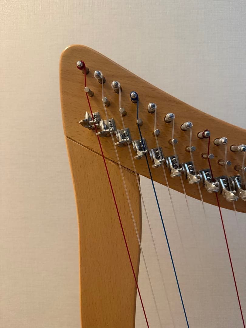 ト*エ様 【手渡し希望】アイリッシュハープ 22弦 - メルカリ