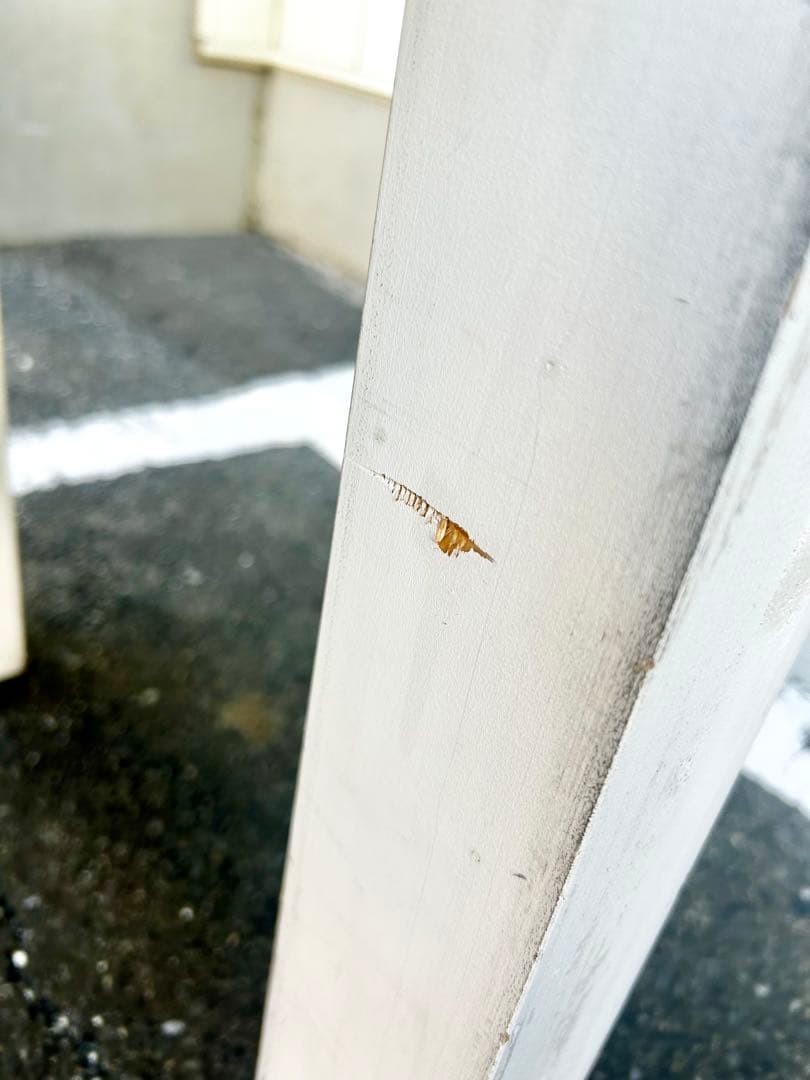 【業務用仕様】平台 テーブル ホワイト 白木 1800×600 陳列什器