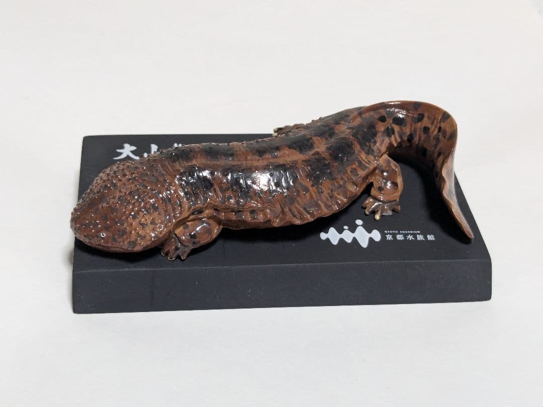 海洋堂 京都水族館限定フィギュア オオサンショウウオ - メルカリ