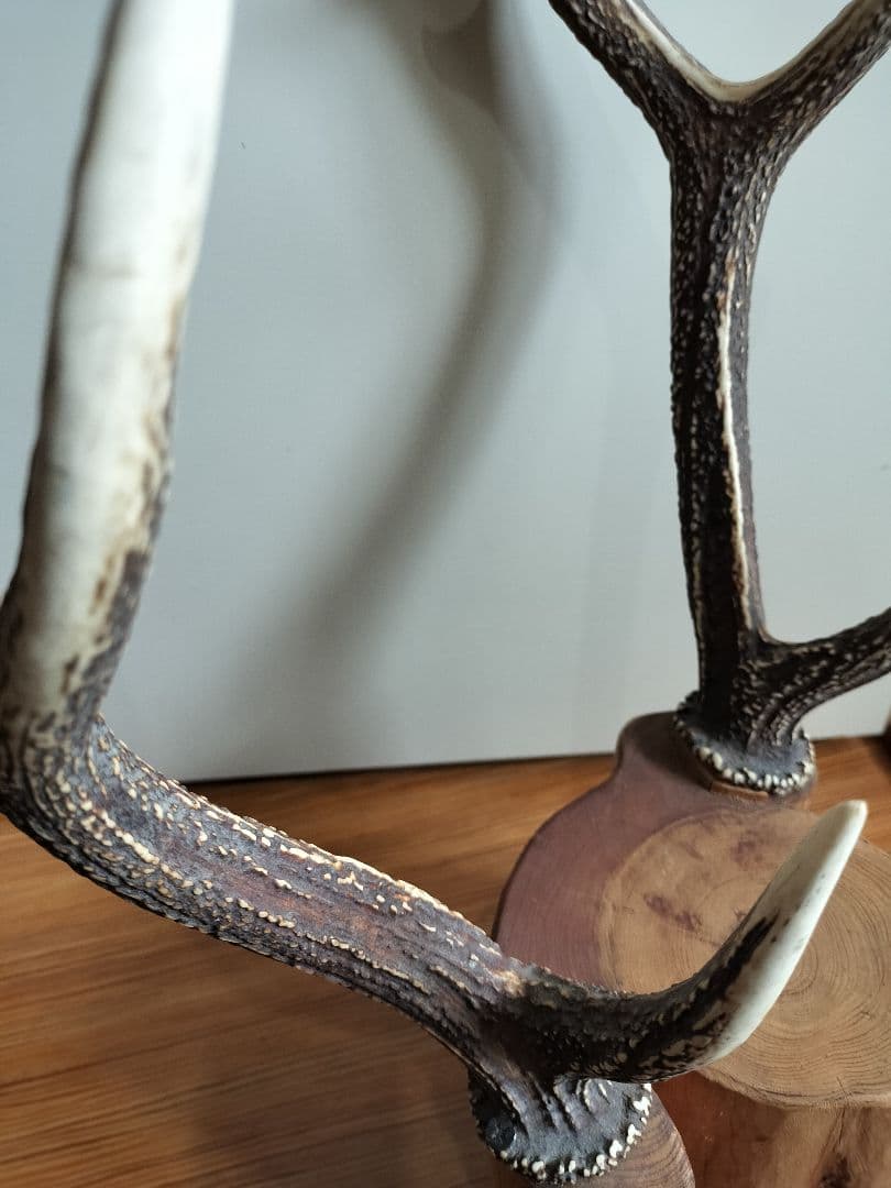 鹿の角の立体オブジェ 刀置き 本樹木 - メルカリ
