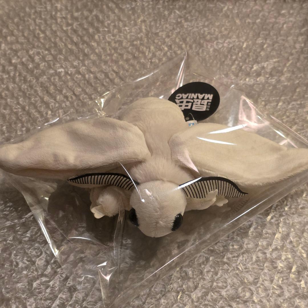 ハ*ル様 昆虫MANIAC カイコガ カイコ 蚕蛾 モス ぬいぐるみ 昆虫マニア