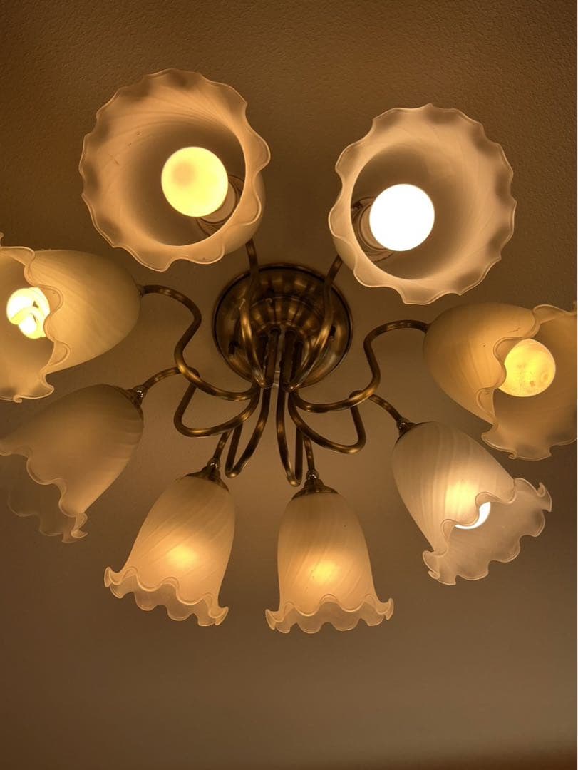 ODELIC シャンデリア 8灯 フロストガラス