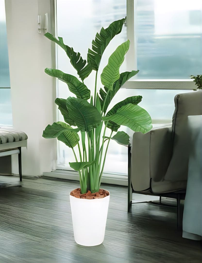 光触媒　人工観葉植物　フェイクグリーン　ストレリチアオーガスタMIX