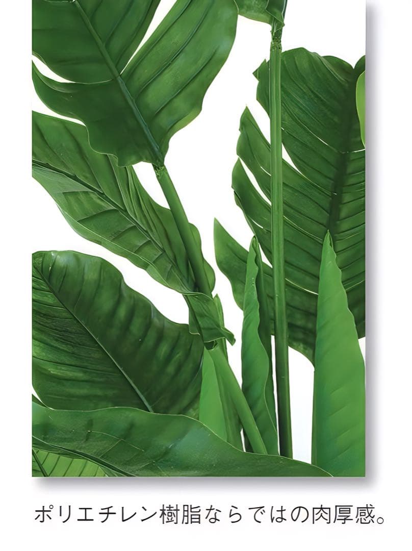 光触媒　人工観葉植物　フェイクグリーン　ストレリチアオーガスタMIX