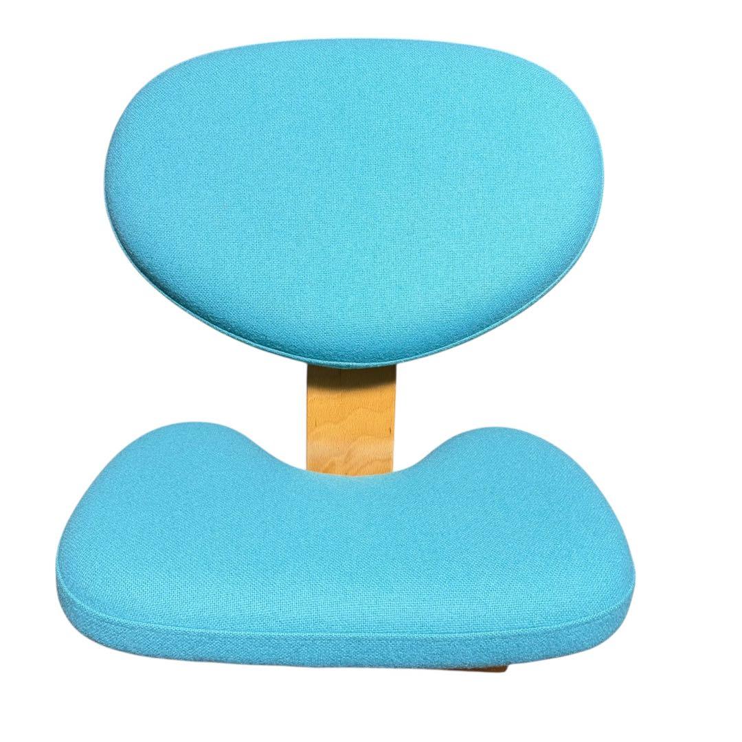 Rybo バランスチェア Balans EASY 姿勢サポート 北欧